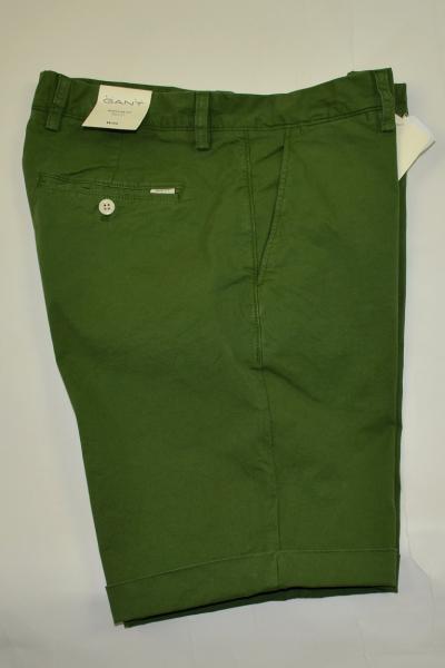 Shorts Sunfaded Pine Green